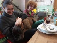 IMG_20240204_123305 (1024x768).jpg